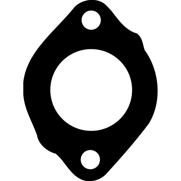 Thermostat Gaskets