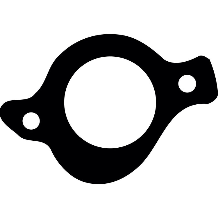 Thermostat Gaskets