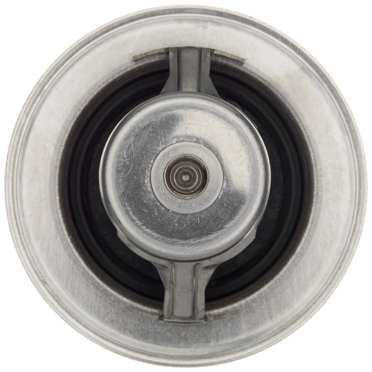 THERMOSTATS