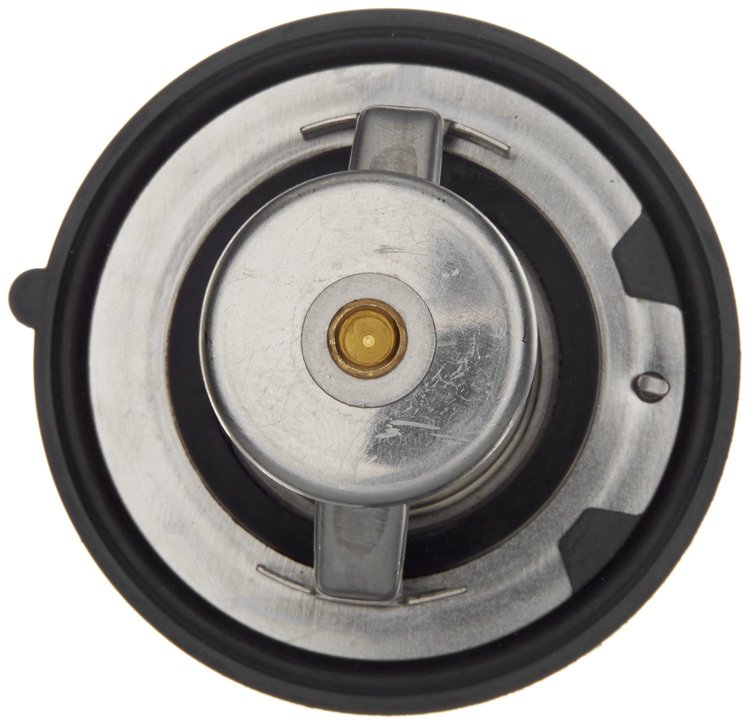 THERMOSTATS
