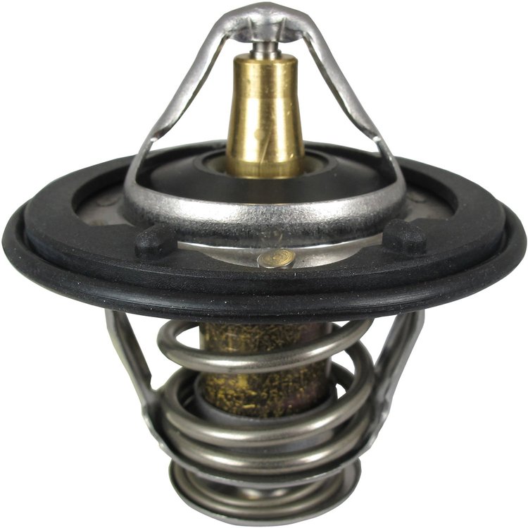 THERMOSTATS