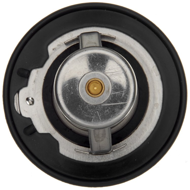THERMOSTATS