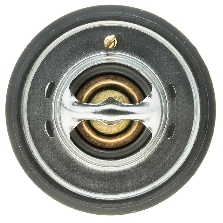 THERMOSTATS