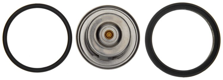 THERMOSTATS