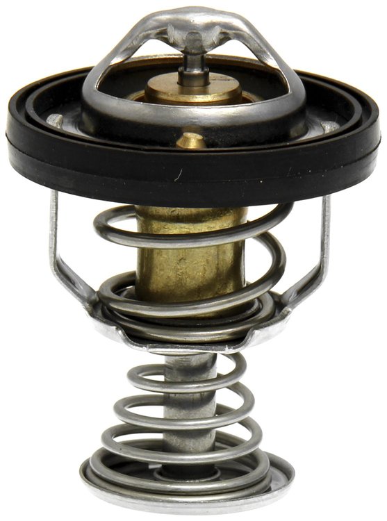 THERMOSTATS
