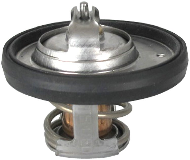 THERMOSTATS