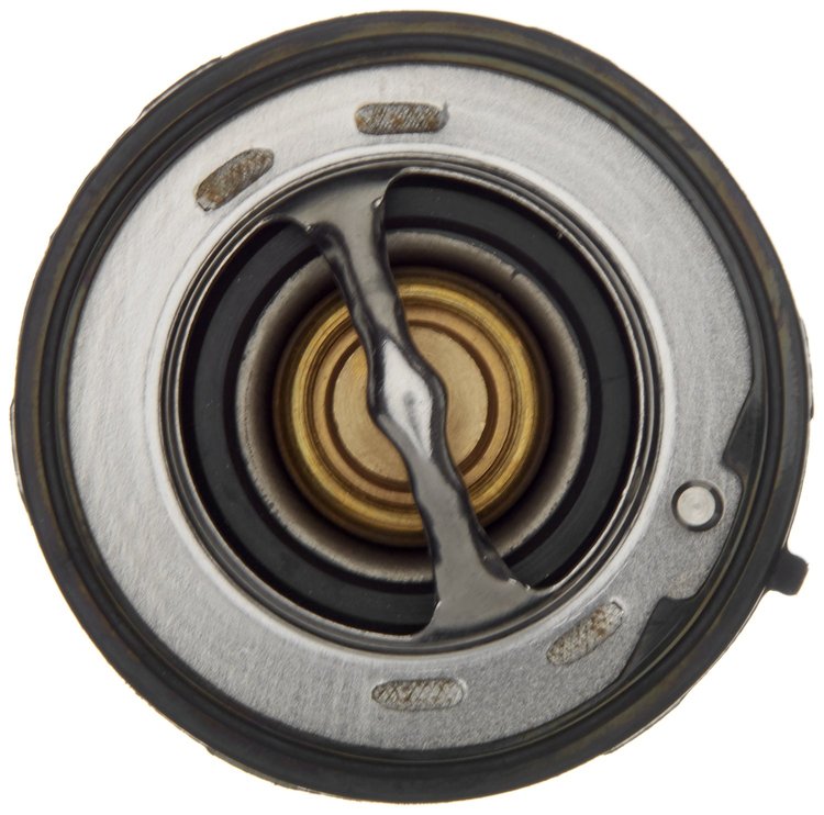 THERMOSTATS