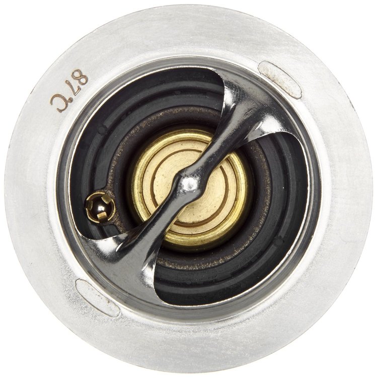 THERMOSTATS