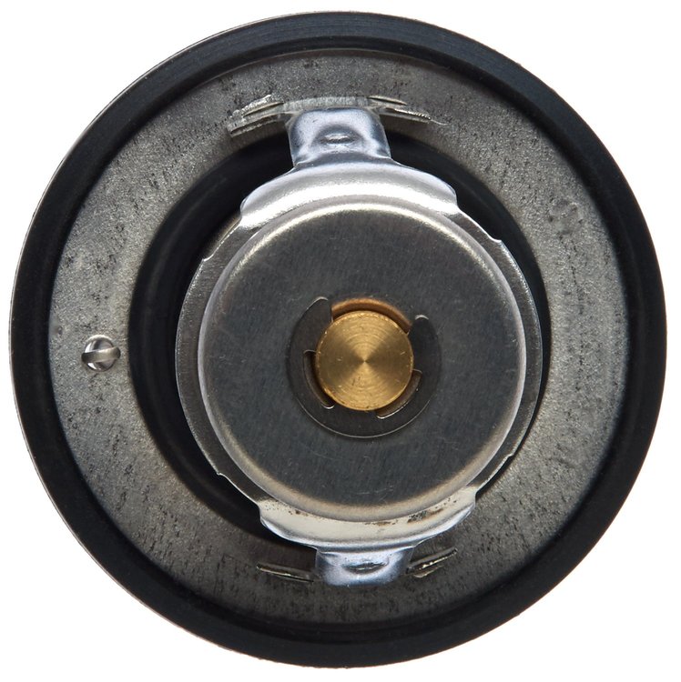 THERMOSTATS