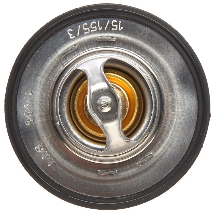 THERMOSTATS