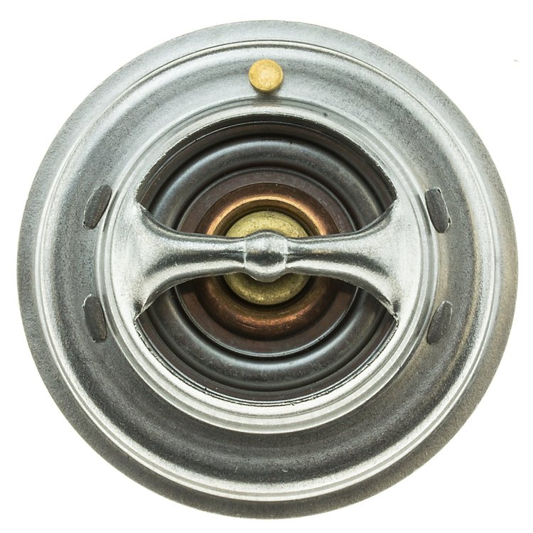 THERMOSTATS