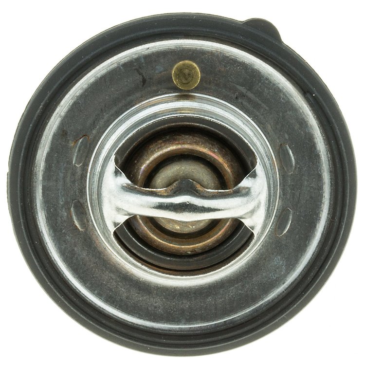 THERMOSTATS