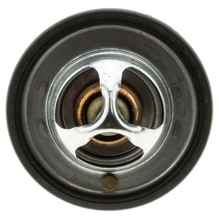 THERMOSTATS