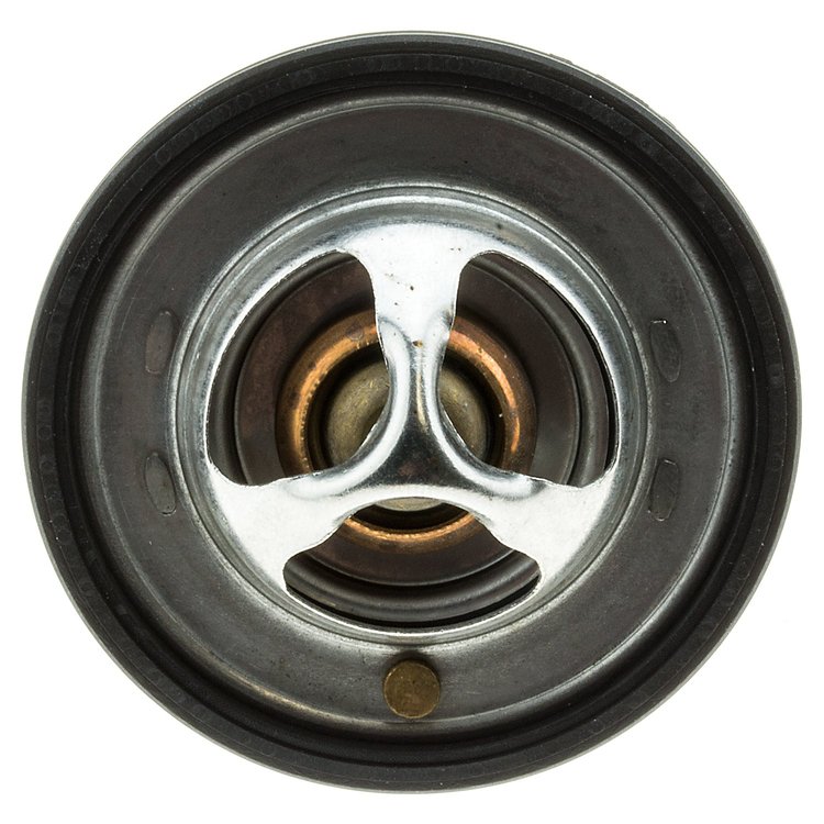 THERMOSTATS