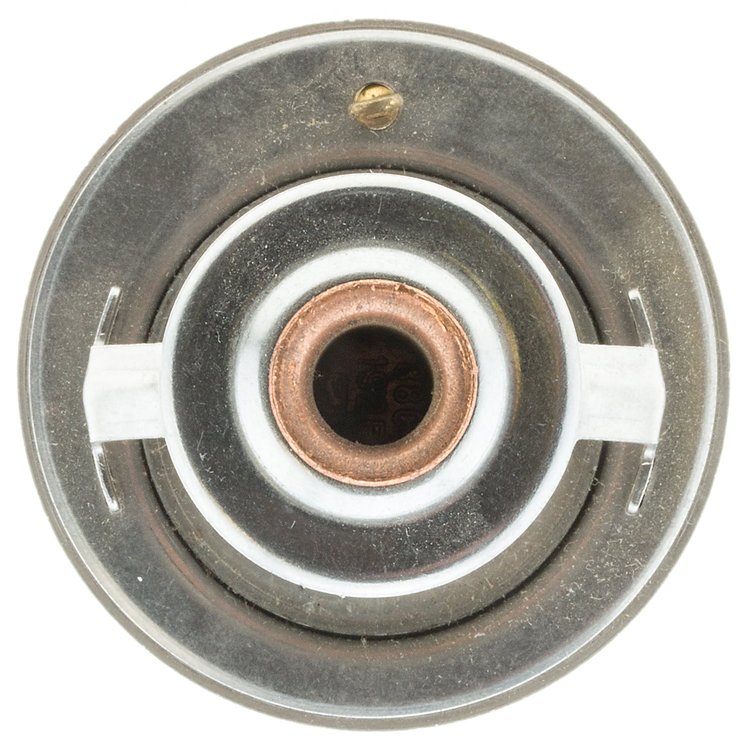 THERMOSTATS