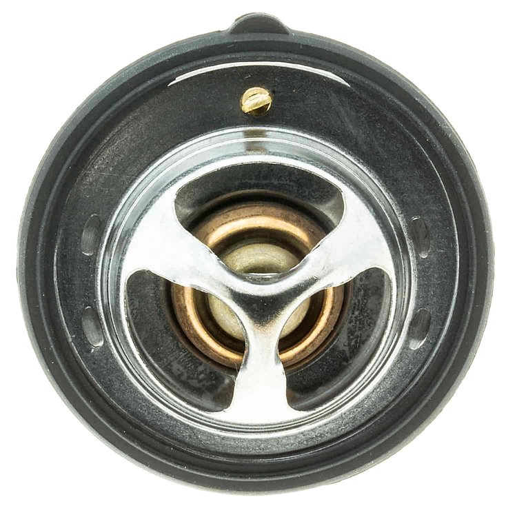 THERMOSTATS