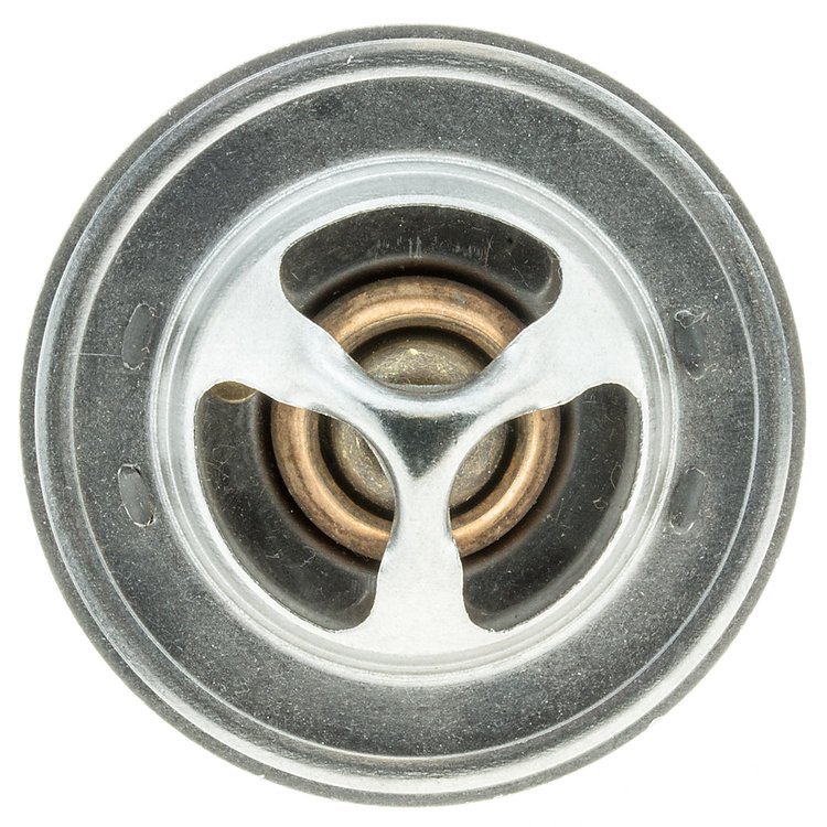THERMOSTATS