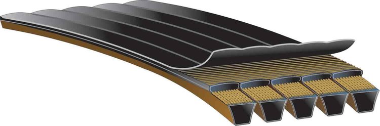 Transit Bus Belts