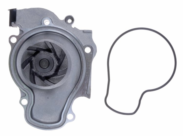 LIGHT DUTY WATER PUMPS