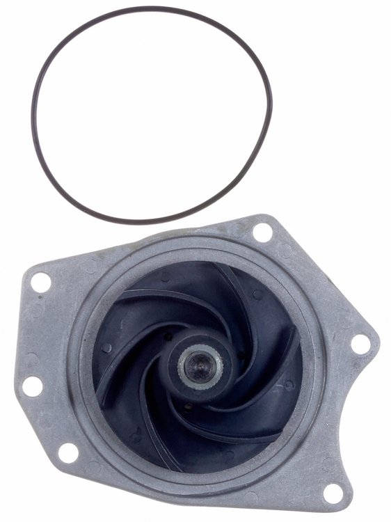 LIGHT DUTY WATER PUMPS