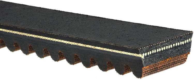 Recreational Belts - G-Force