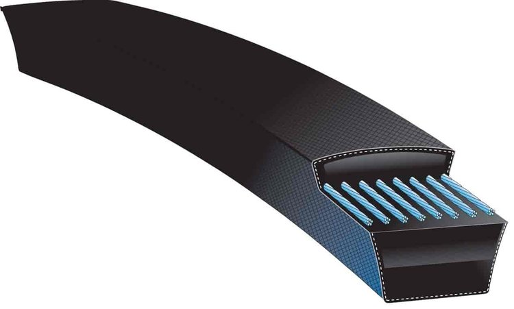 Transit Bus Belts