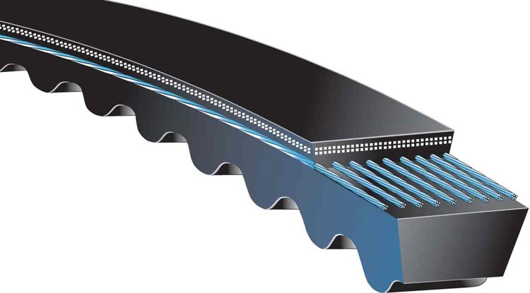 Transit Bus Belts