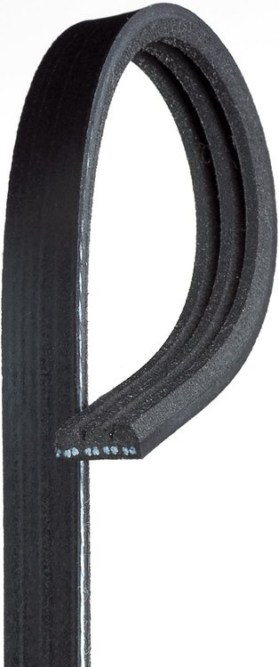 Century Series Stretch Fit Belts