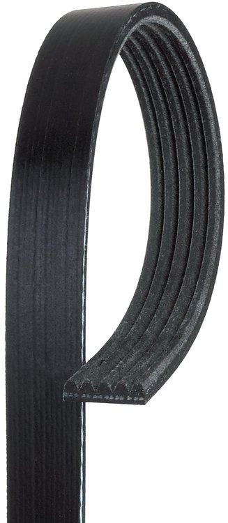Century Series Stretch Fit Belts