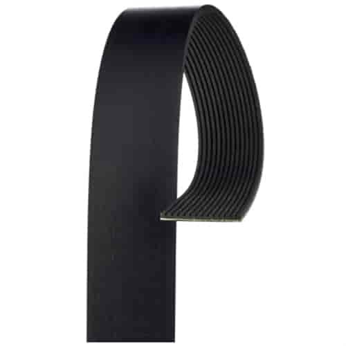 12 RIB 64" BELT