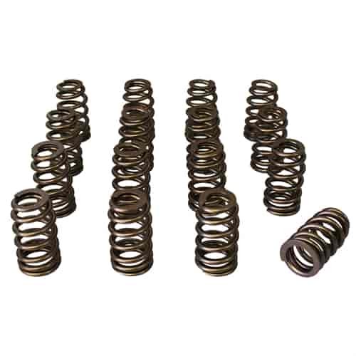 Ovate Beehive Valve Spring Set 1.290 in. OD
