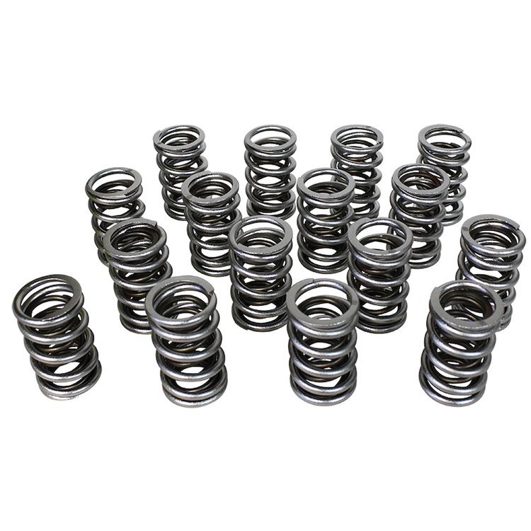 Electro Polished Performance Valve Spring Set 1.514 in. OD
