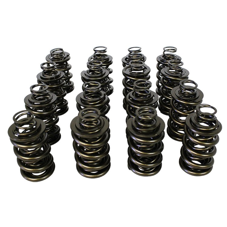 98846 Pacaloy Triple Valve Spring Set 1.645 in. OD