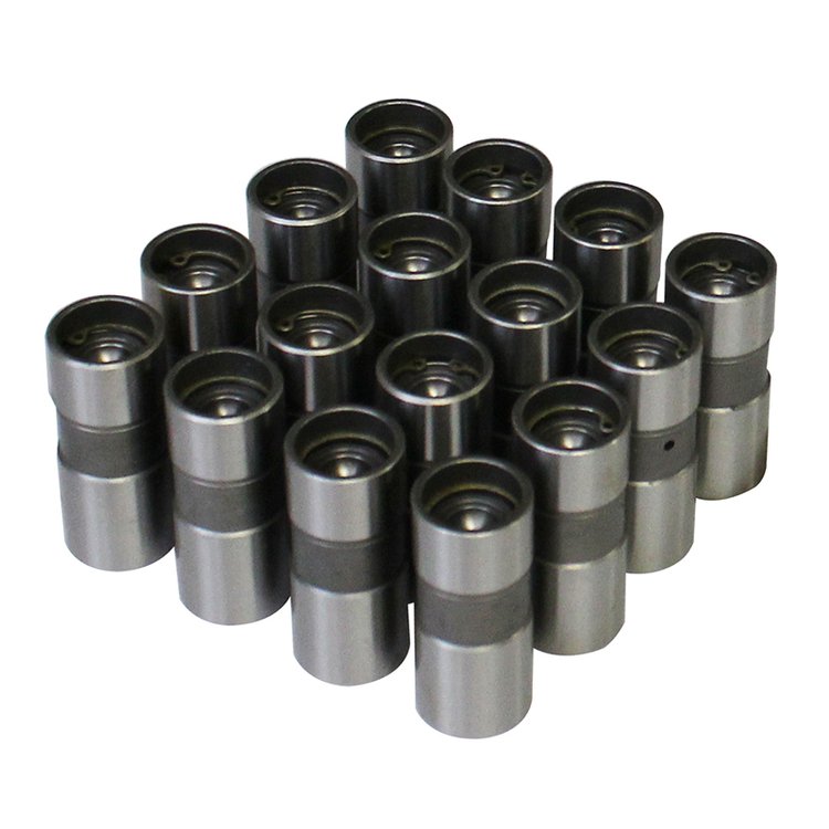 CAMSHAFT AND LIFTER KIT