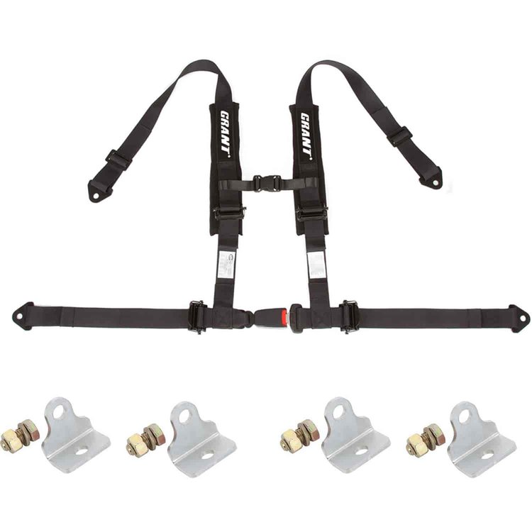 4 Point Auto Buckle Harness and Mount Kit