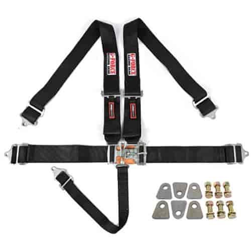 Pro-Series Latch & Link 5-Point Individual Harness Kit