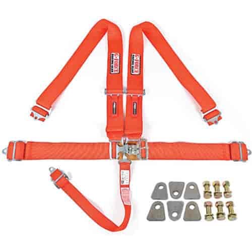 Pro-Series Latch & Link 5-Point Individual Harness Kit