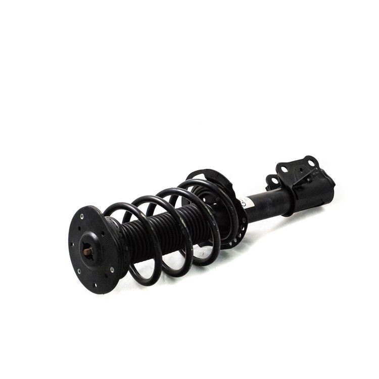 Fully Loaded Strut Assembly for 2015-2018 Ford Edge