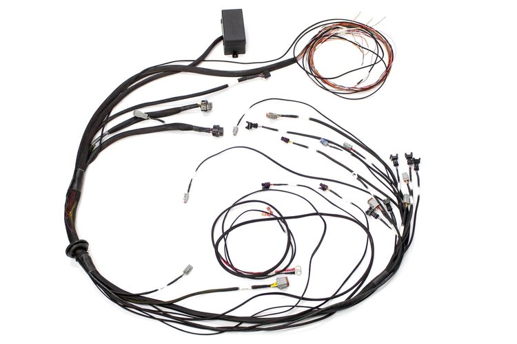HT-130307 Elite 1000/1500 EV1 Terminated Main Harness Only, Mazda 13B