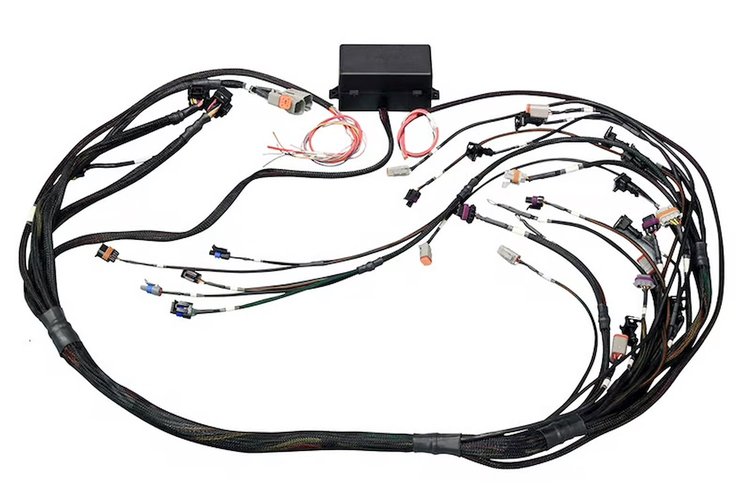 HT-141365 Elite 2000/2500 Terminated Harness Only, EV6, GM GEN IV LS2 non DBW