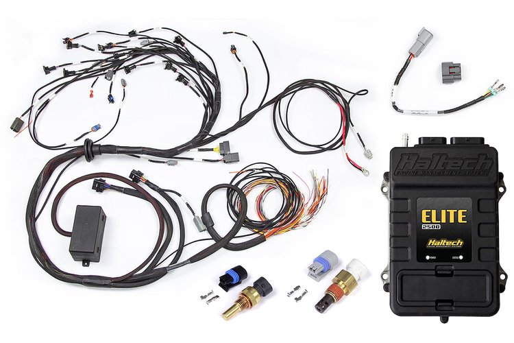 HT-151307 RB Twin CAM Elite 2500 ECU, Main Harness, CAS Breakout