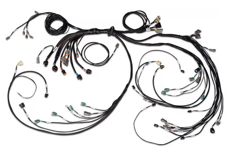 HT-186205 Nexus R5 Terminated Harness, GM LSX DBW