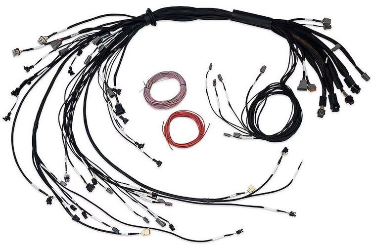 HT-186206 Nexus R5 Terminated Harness, GM LSX Non DBW