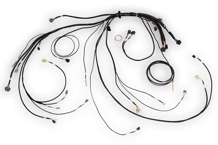 HT-186500 Nexus Rebel LS Terminated Harness for Nexus Rebel LS ECU