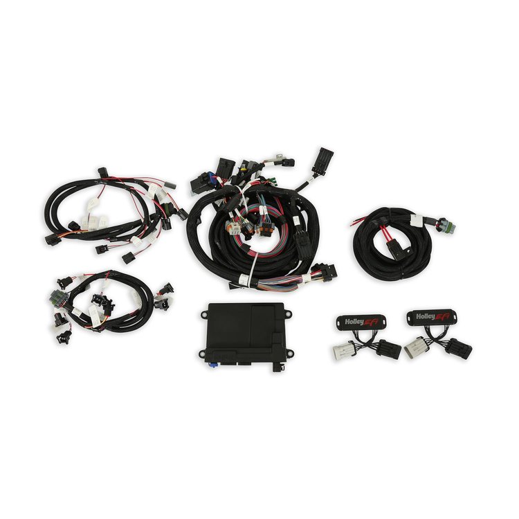 550-617N HP ECU/HARNESS 4.6/5.4 4V