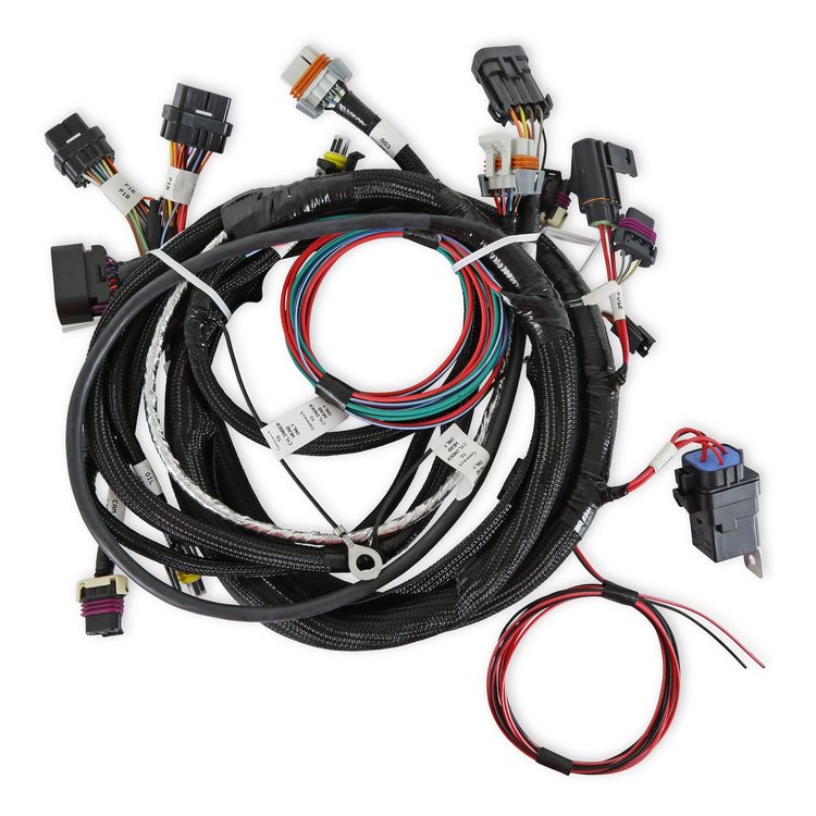 558-111 HARNESS TBI LSX 24X