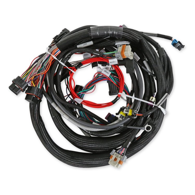 558-133 Extended Length Main Harness for GM LS1, LS6 Engines w/Holley HP or Dominator EFI (24X Crank Reluctor)