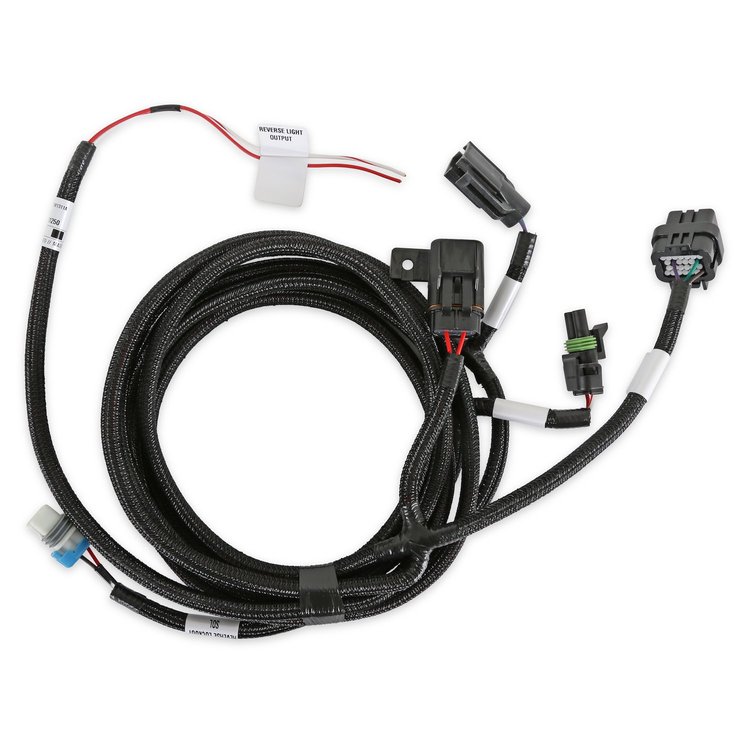 558-480 T-56 Magnum Transmission Control Harness for use w/Terminator X Max ECUs on V3 Build 100, EFI V6 Build 300, or Later