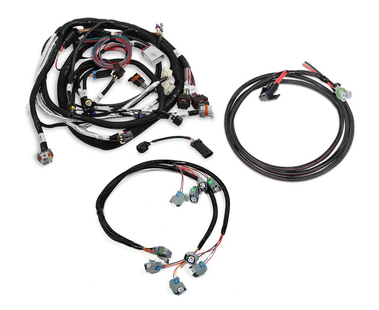 558-501 EFI Harness Kit GM LS2/LS3/LS7