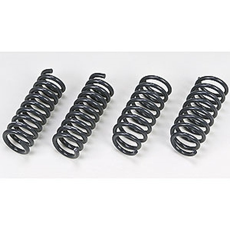 Lowering Spring Kit 2011-12 Charger RT